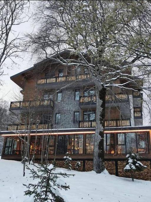 Residence Didveli In Bakoerjani Buitenkant foto
